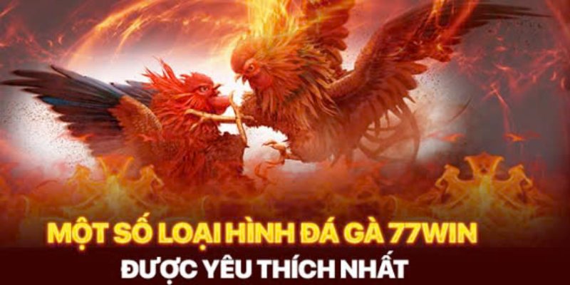 Một số loại hình đá gà 77Win được yêu thích nhất tại nhà cái 