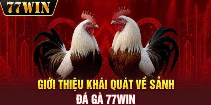 Tìm hiểu chung về sảnh đá gà 77Win